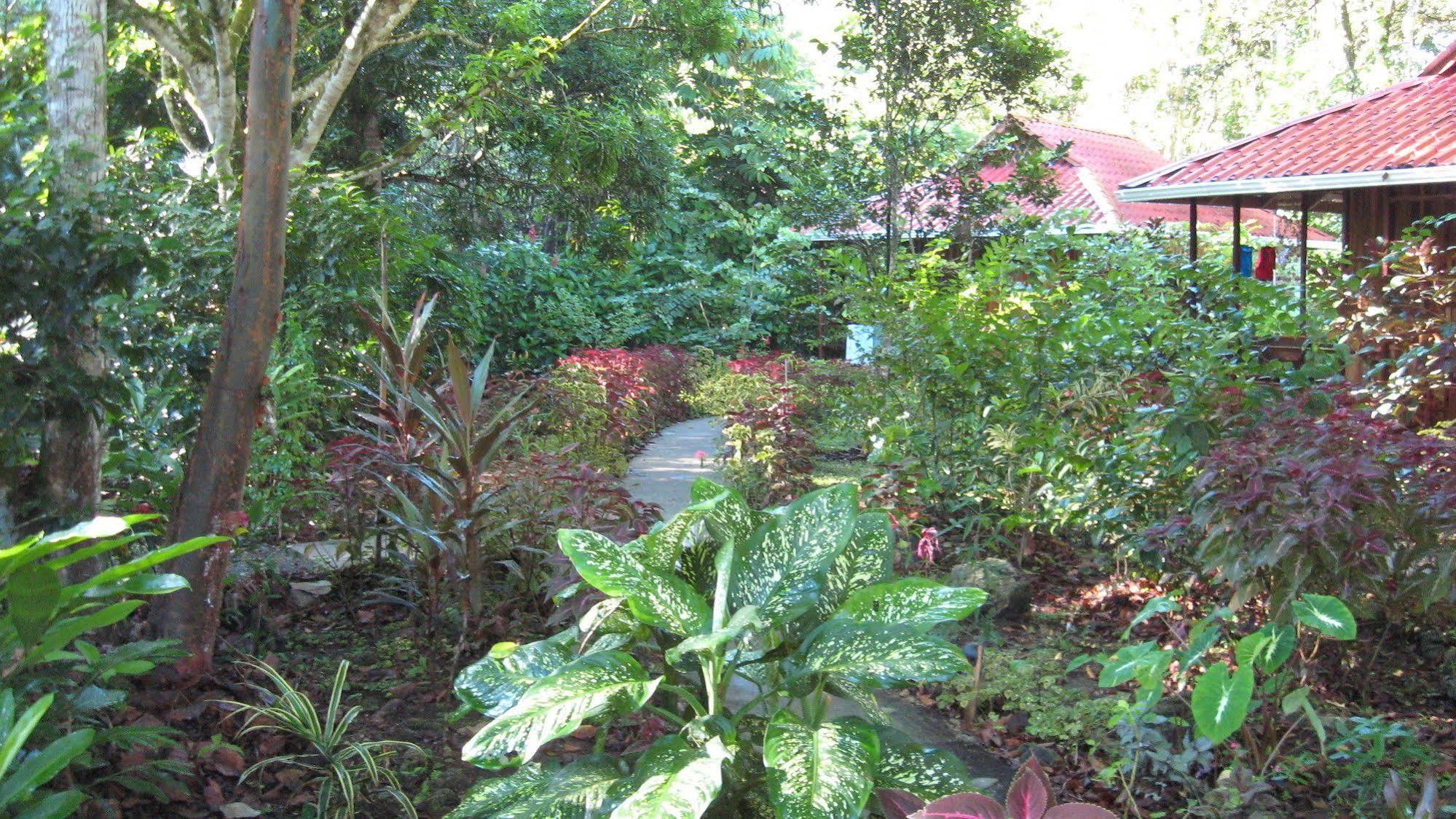 Coral Hill Bungalows Cahuita Exterior photo